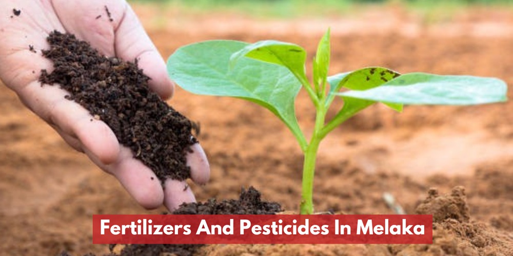 Fertilizers And Pesticides In Melaka